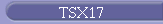 TSX17